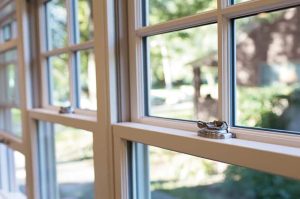 Improving Your Home’s Security with a Quality Window