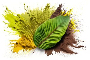 How to Use White Sumatra Kratom for Maximum Benefits