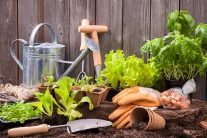 Every gardener should have in their toolkit some indispensable tools.